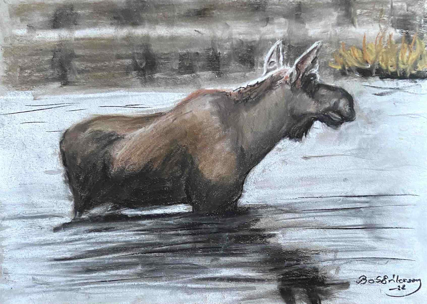 Älgtjur i vattnet (40x30cm) - Bo S. Eriksson