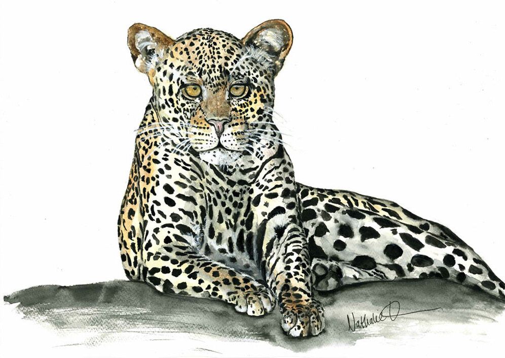 Leoparden (42x29cm) - Nathalie Tsikritea