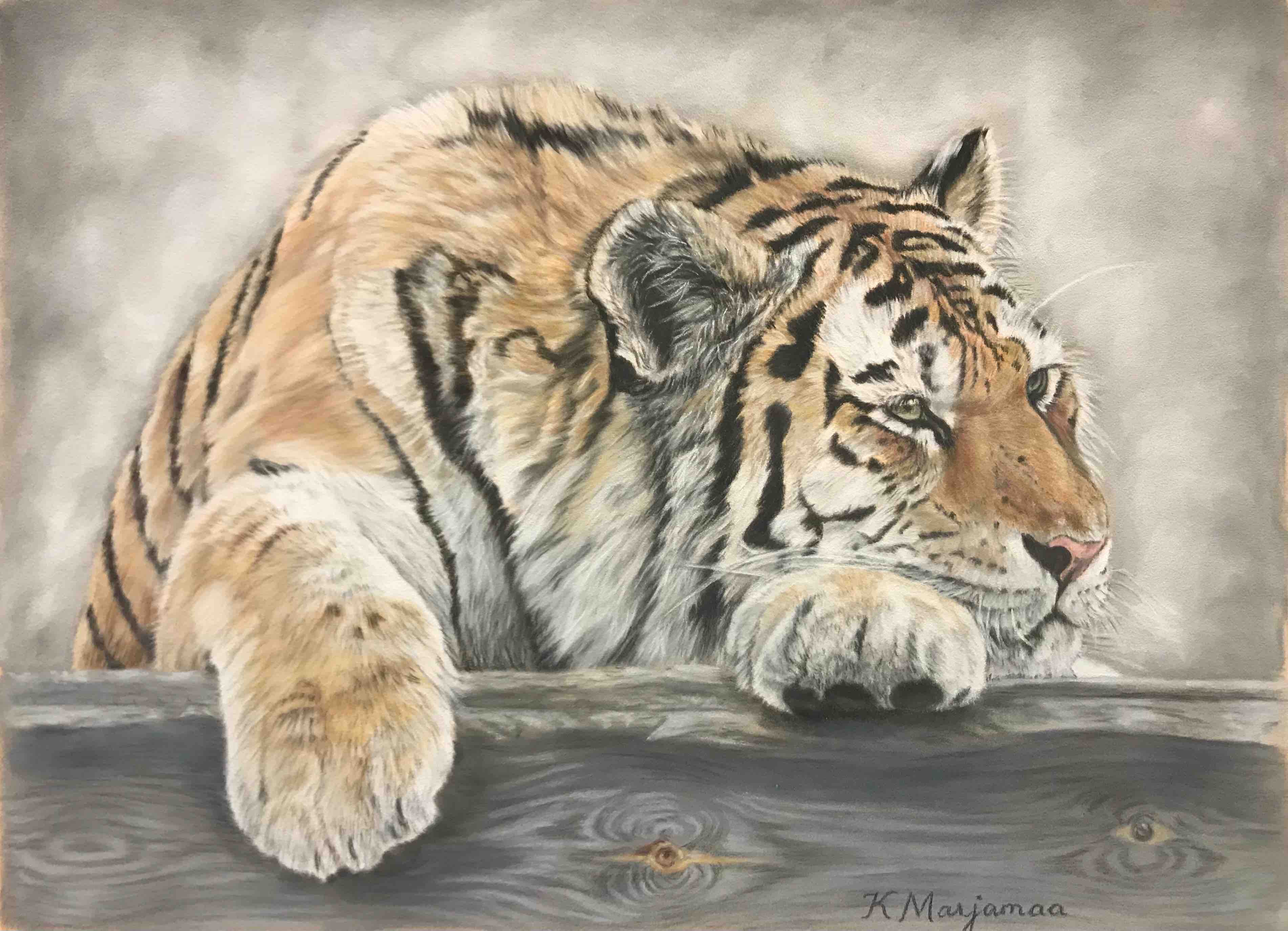 Tigern (52x44cm) - Karin Marjamaa